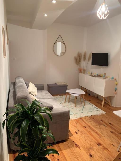 Le Petit Cocon Nimois Apartment Nimes Exterior photo